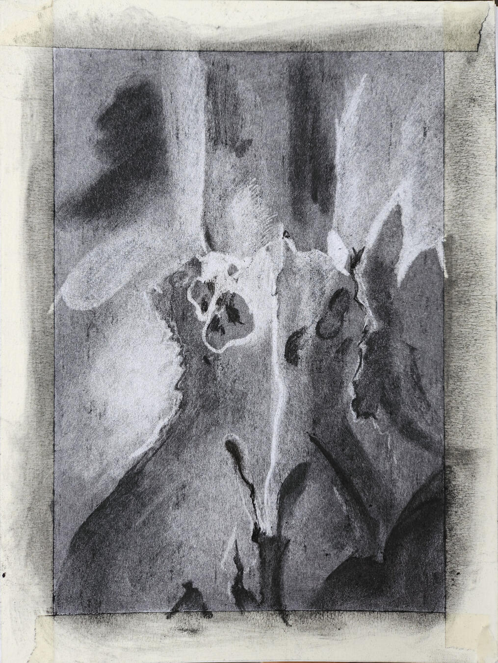 Deer Skull Study (Inside) Deer Skull Study (Inside)